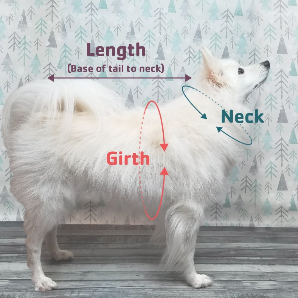 Thread 9 | True Colors Pride Dress | Small Medium Large Dogs | Gift - Picture 7 of 7